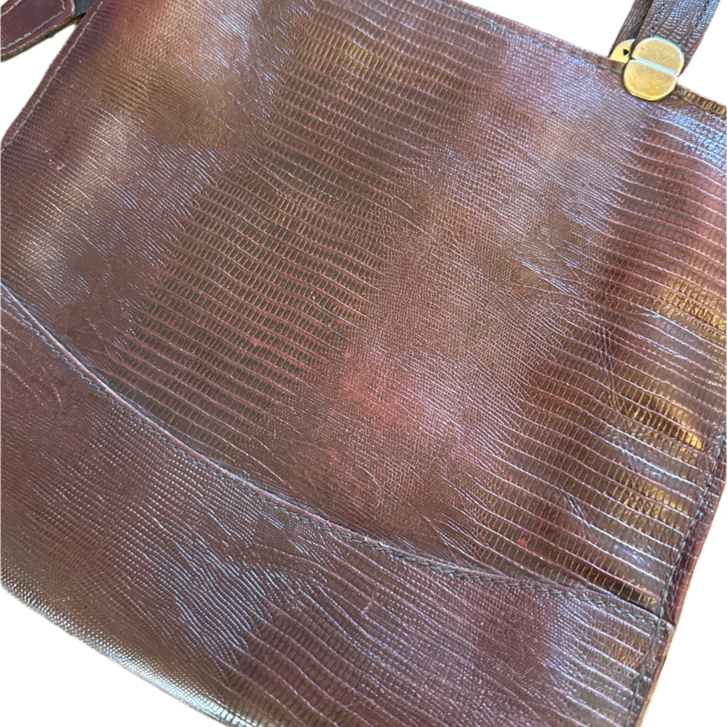 Vintage Velvet Lined Reptile Bag
